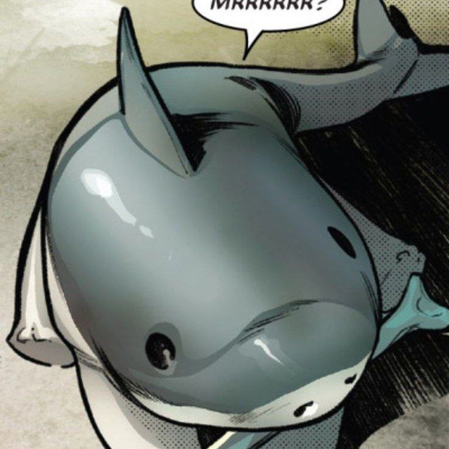 .sharkie