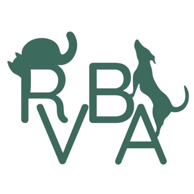 RVBA_bot