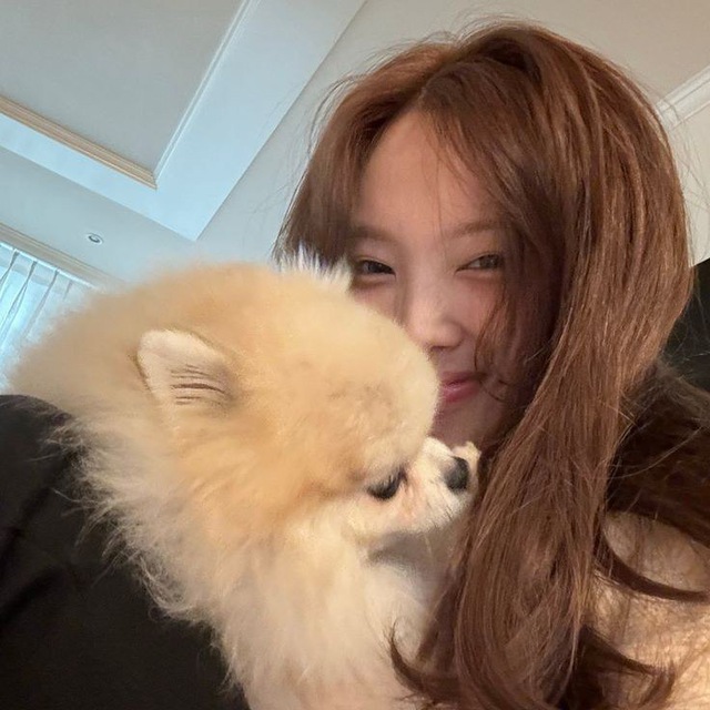 nayeon. ᡴ︪︩ꪫ