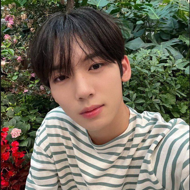 wtb nya myree