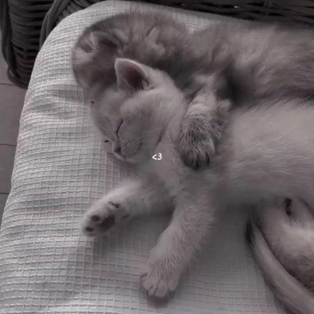 𝑓𝑜𝑟 𝑚𝑦 𝑔𝑖𝑟𝑙 ♡