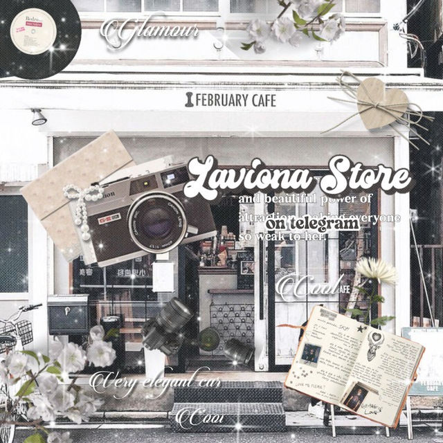 Laviona store