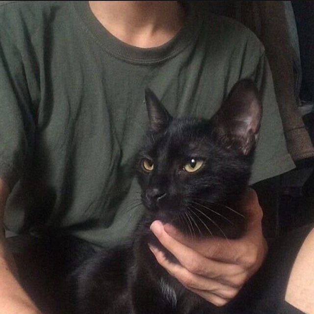 hi