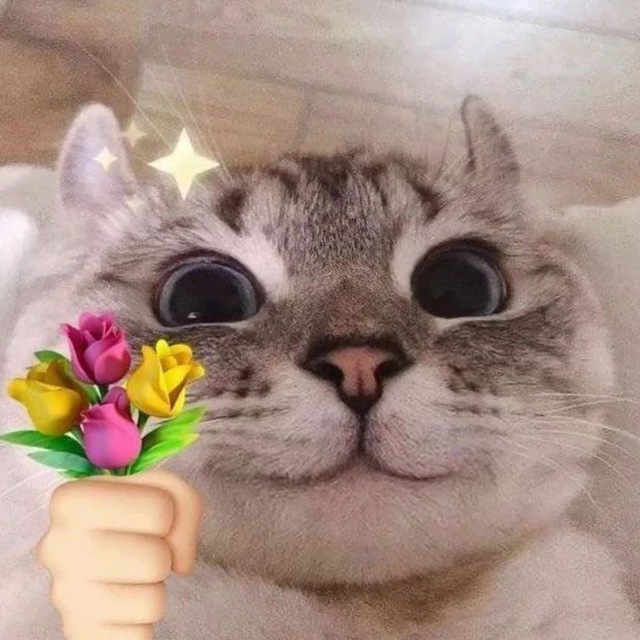 elozar help