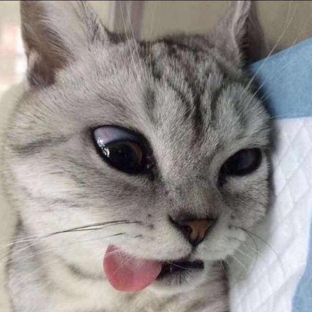 @rereewwnbot