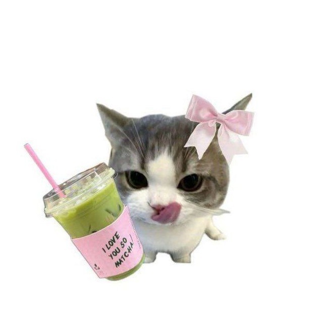 🎀