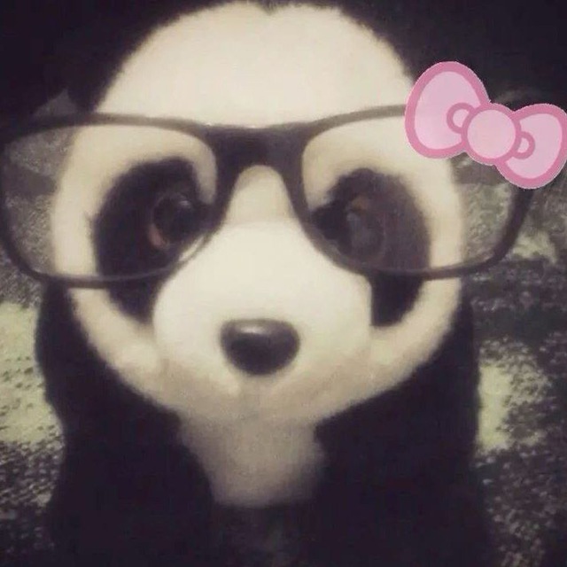 flowryya