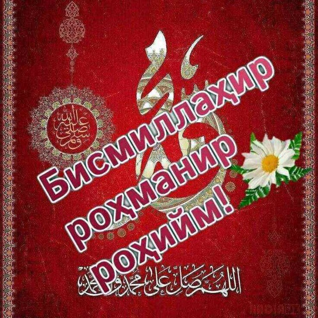 ✨ Muallima✨