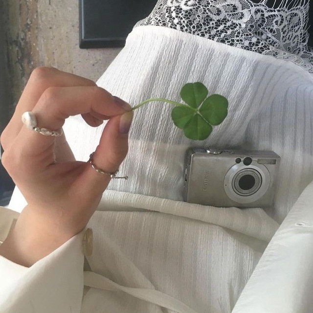 cle(o)ver — 🍀