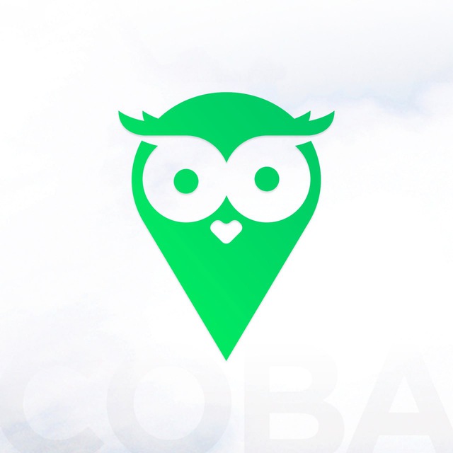 СОВА|Доставка OZON, WB в Луганск🦉