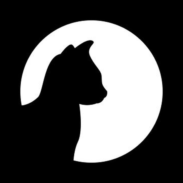 Cats Community Bot
