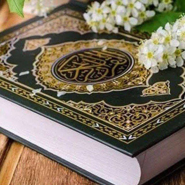 بوت قران كريم اذكار أحاديث الرسول