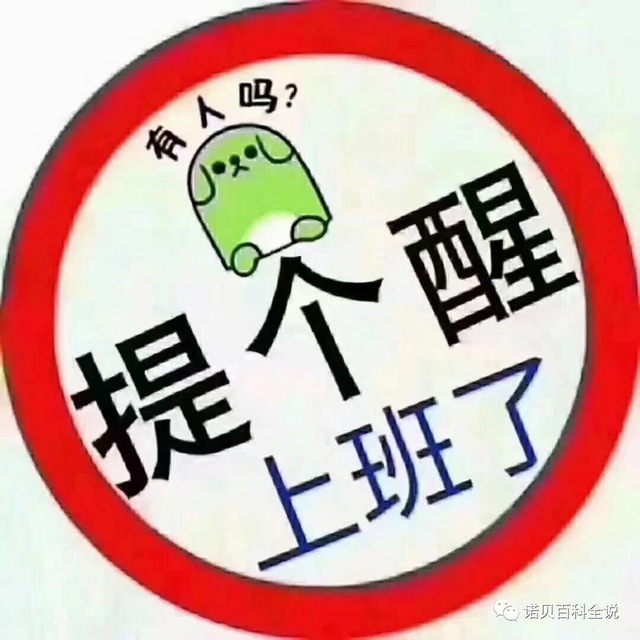鑫满意足双向