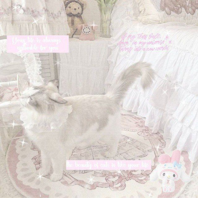 Salsaorder_bot📝🎀