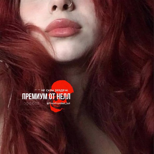 ᴨᴩᴇʍиуʍ ᴏᴛ нᴇᴧᴧ. 🌹