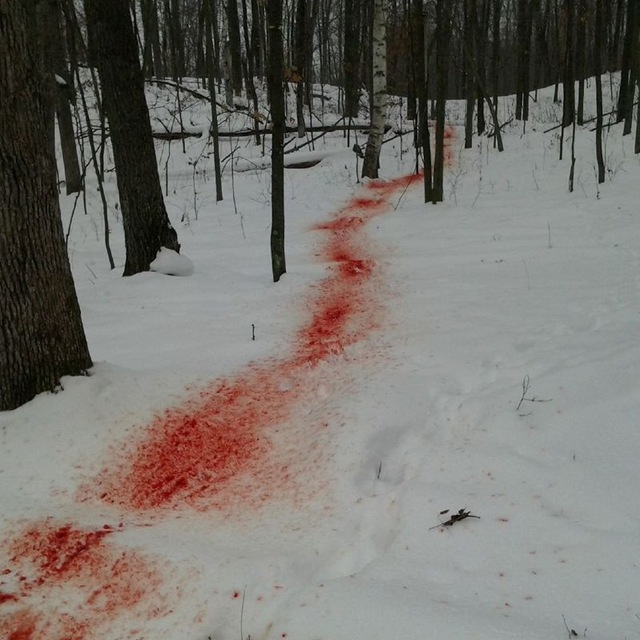 𝑅𝑎𝑖𝑛𝑦 𝐺𝑟𝑒𝑒𝑛 🐍