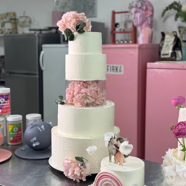 школа Алёны Зeфирки