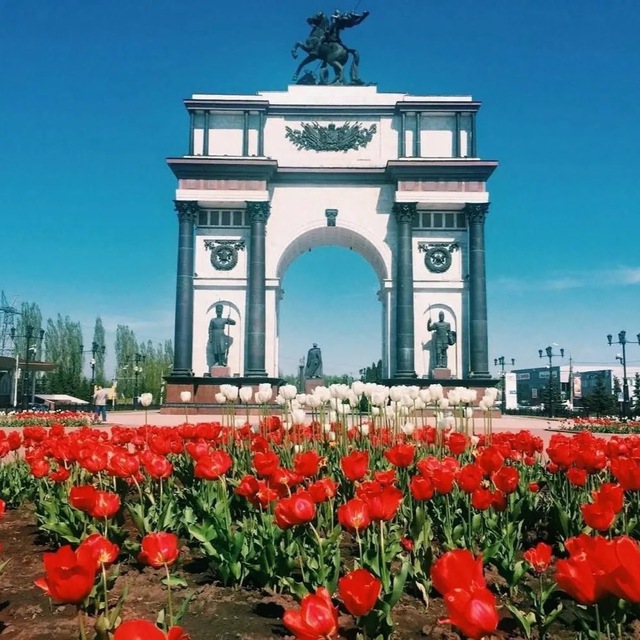 Предложка Курск