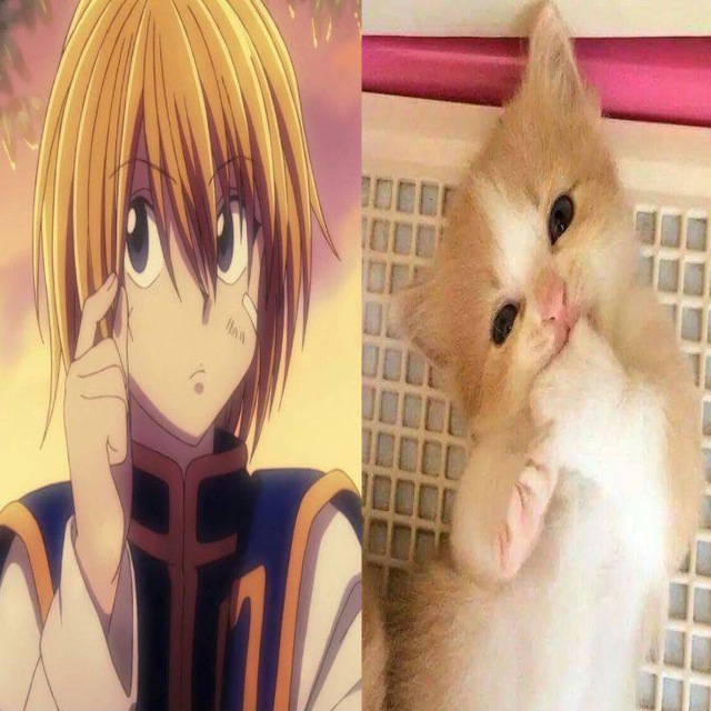 kurapika ^___^