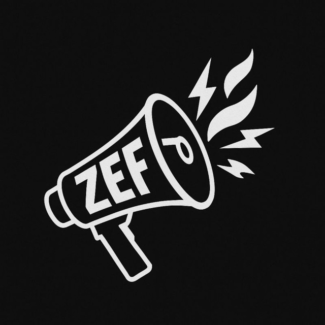 ZEF FEEDBACK
