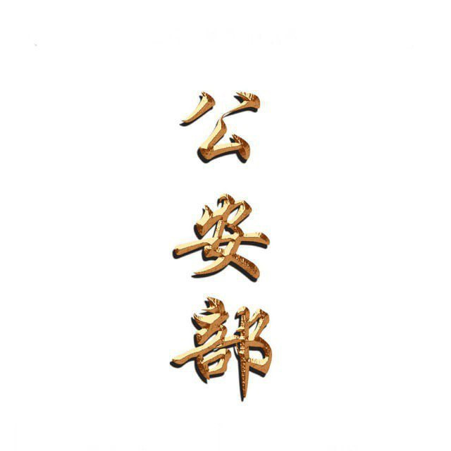 公安部副部长