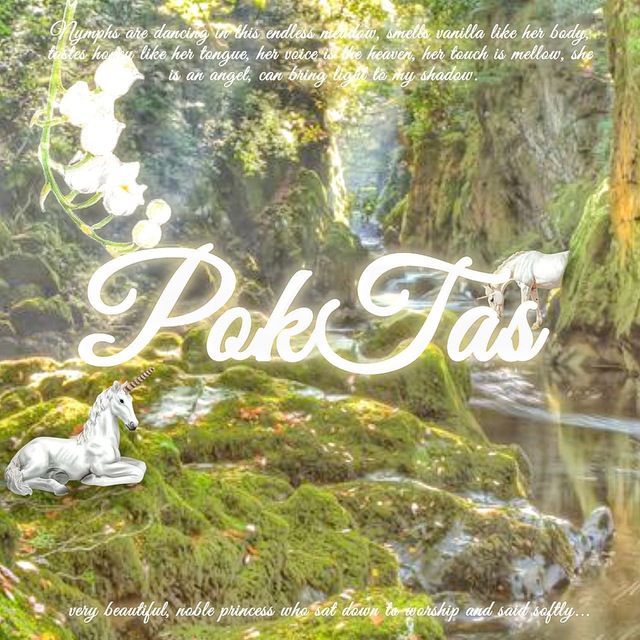 ༶ ꕀ PokTas Handle ๑