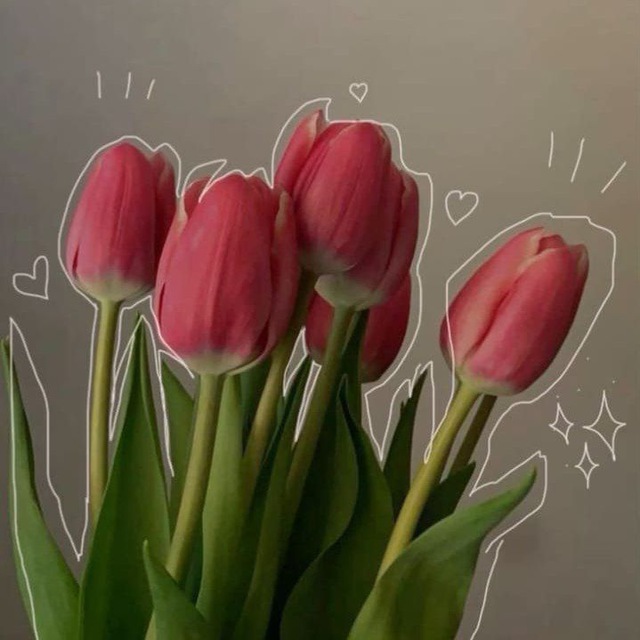 ⤶تَبادُل𐙚:)