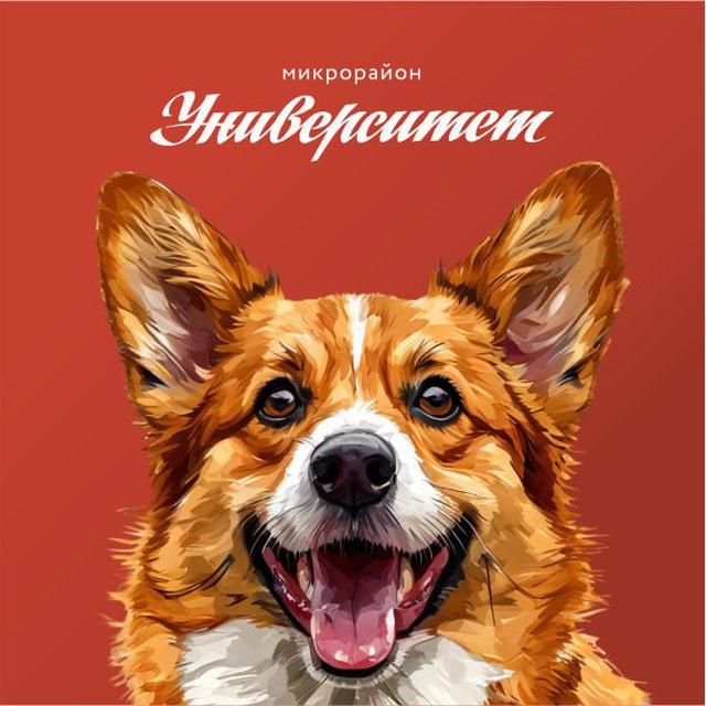 Консультант Айва - Мкр. Университет