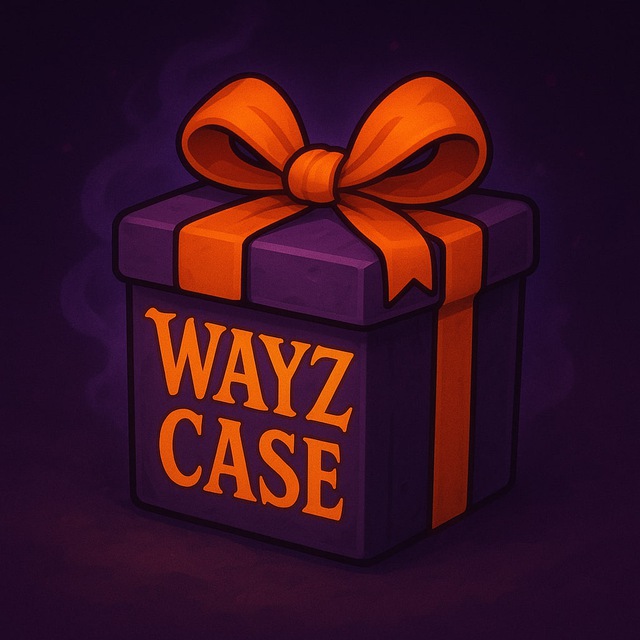 Кейсы от Вейза