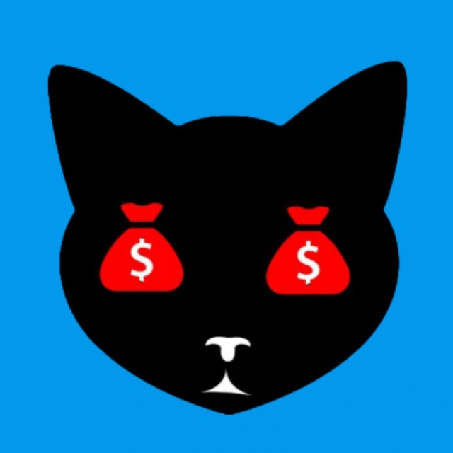 MONEY CATS 🐈💰