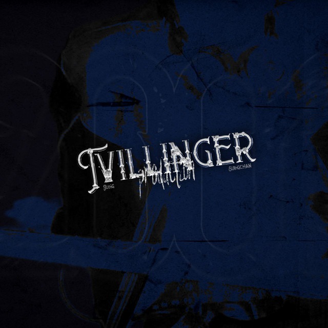 TVILLINGER