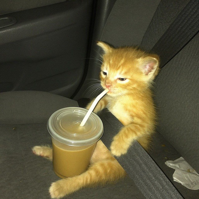 ài's hub🧉🧙🏻‍♀️