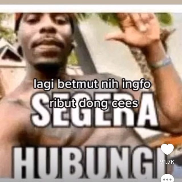 kucing kamu