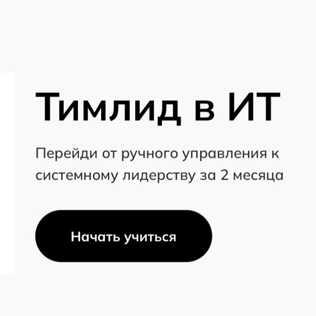Тимлид в ИТ