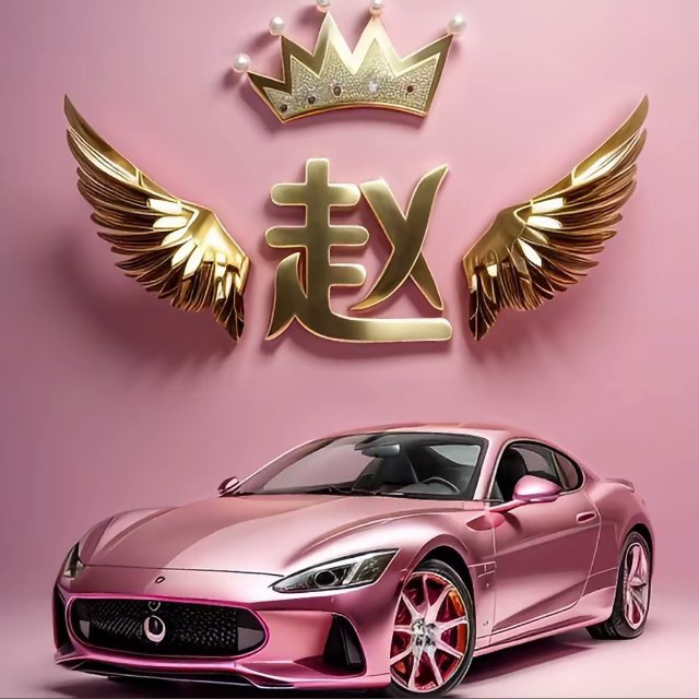 小赵16608509737