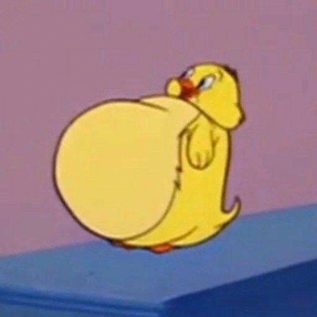botna bebe