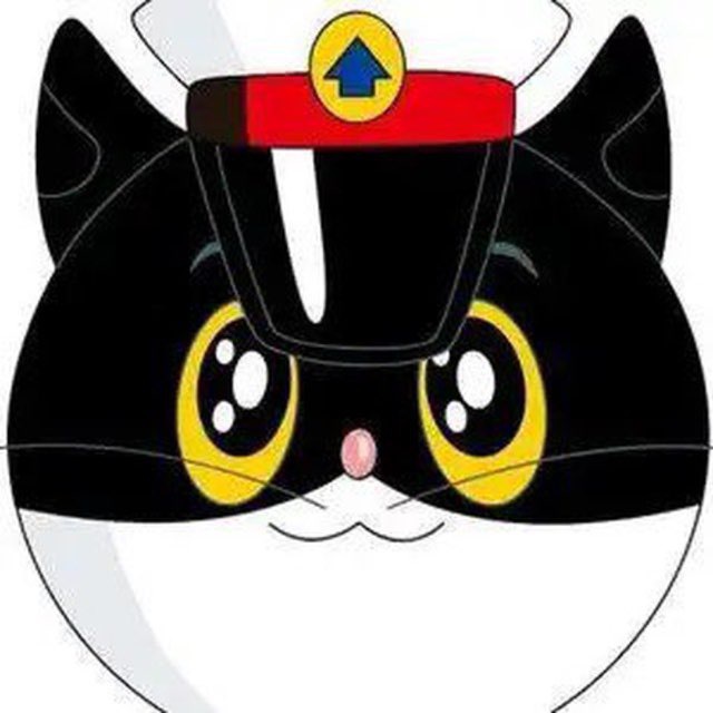 黑猫双向机器人