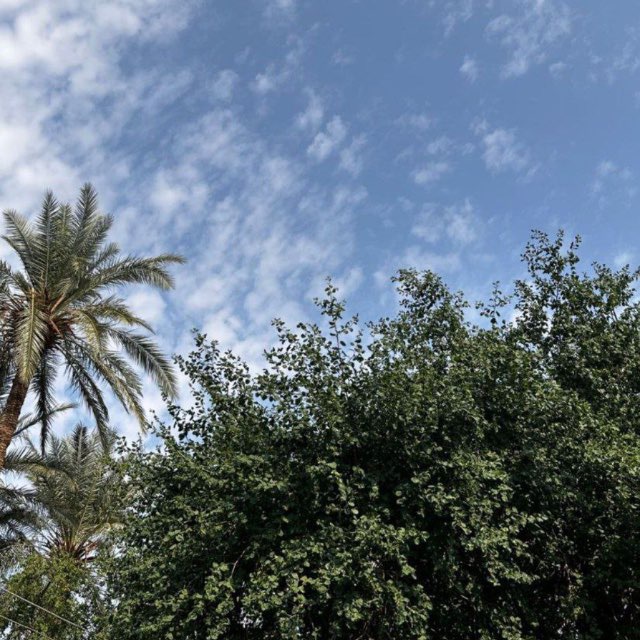 ᷂رَزاء