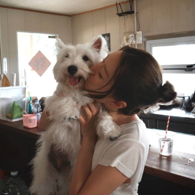 晴北集团双向客服