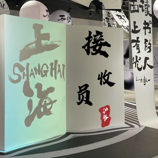 沪爷出击报告《接收员》