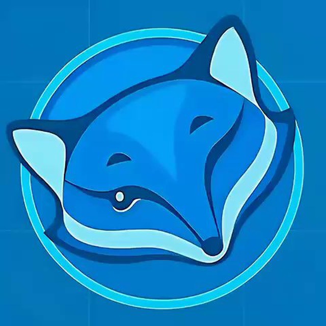 Foxy Proxy | Купить Proxy & VPN