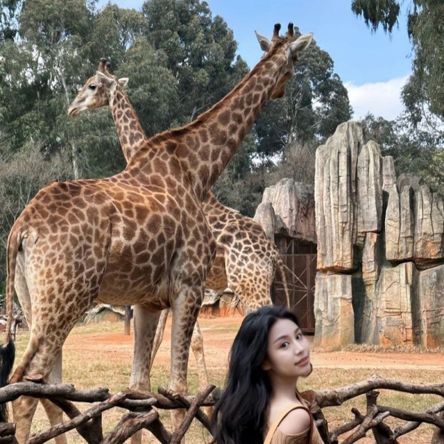 小不点的助手