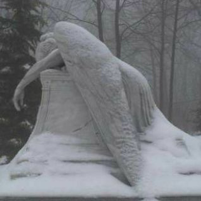 анон данюши