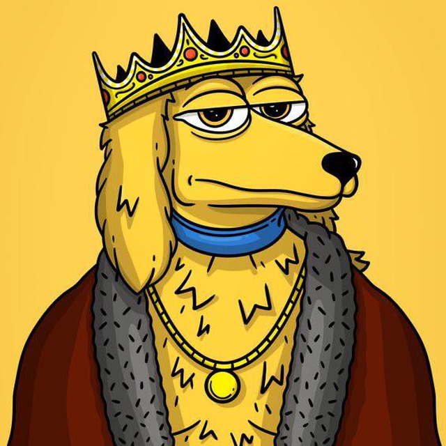 KING Dogs
