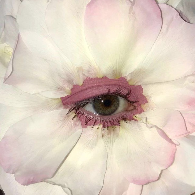 bloom seeker.