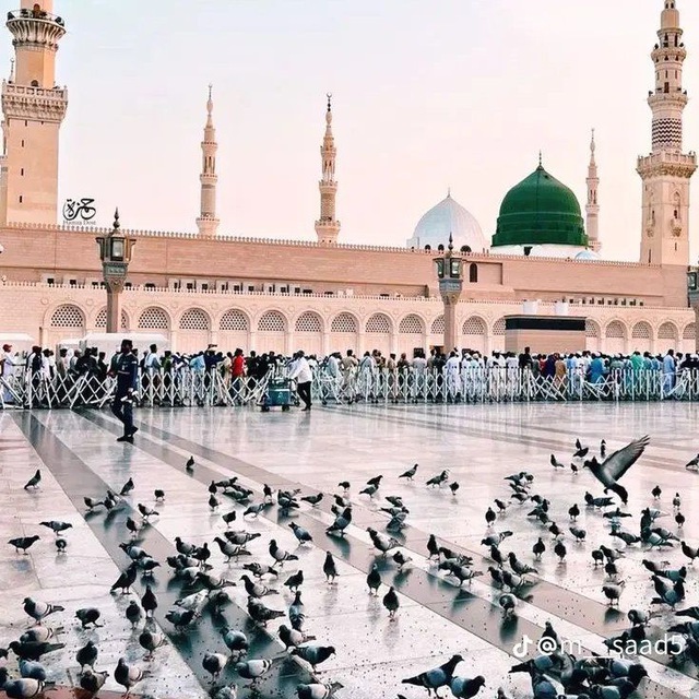 SUNNAH wave