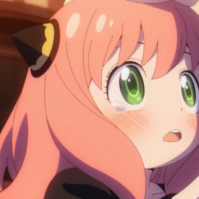 TRX/能量/会员机器人