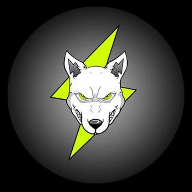 Volt