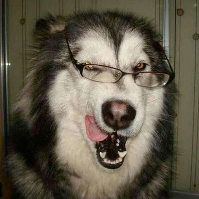 ㅤ💛🗑 ___eyezoff