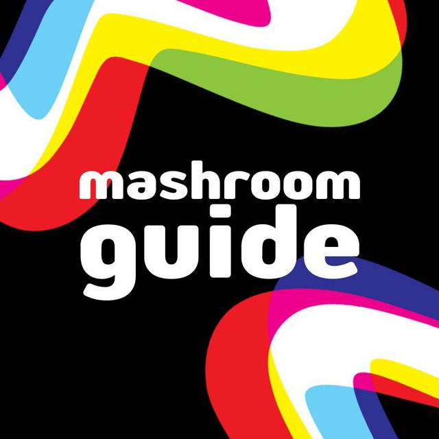 ЖЮ Mash Room Guide